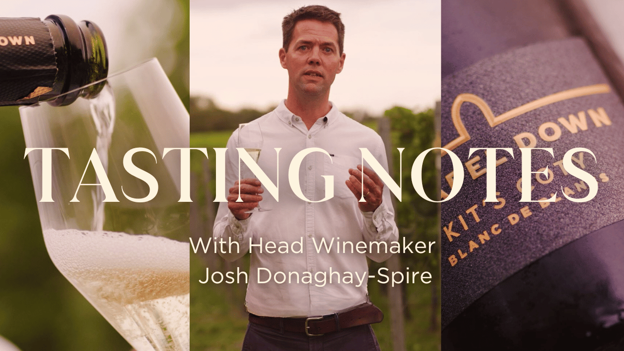 Tasting Notes Kit's Coty Sparkling Wines Chapel Down