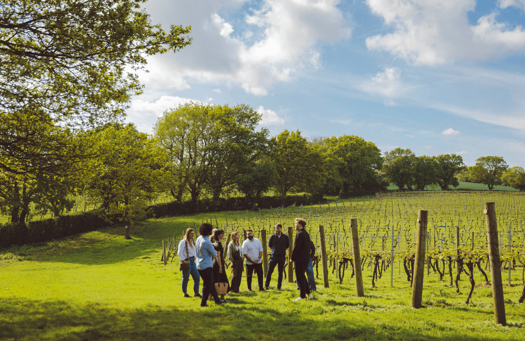 VISIT THE CHAPEL DOWN WINERY – Chapel Down