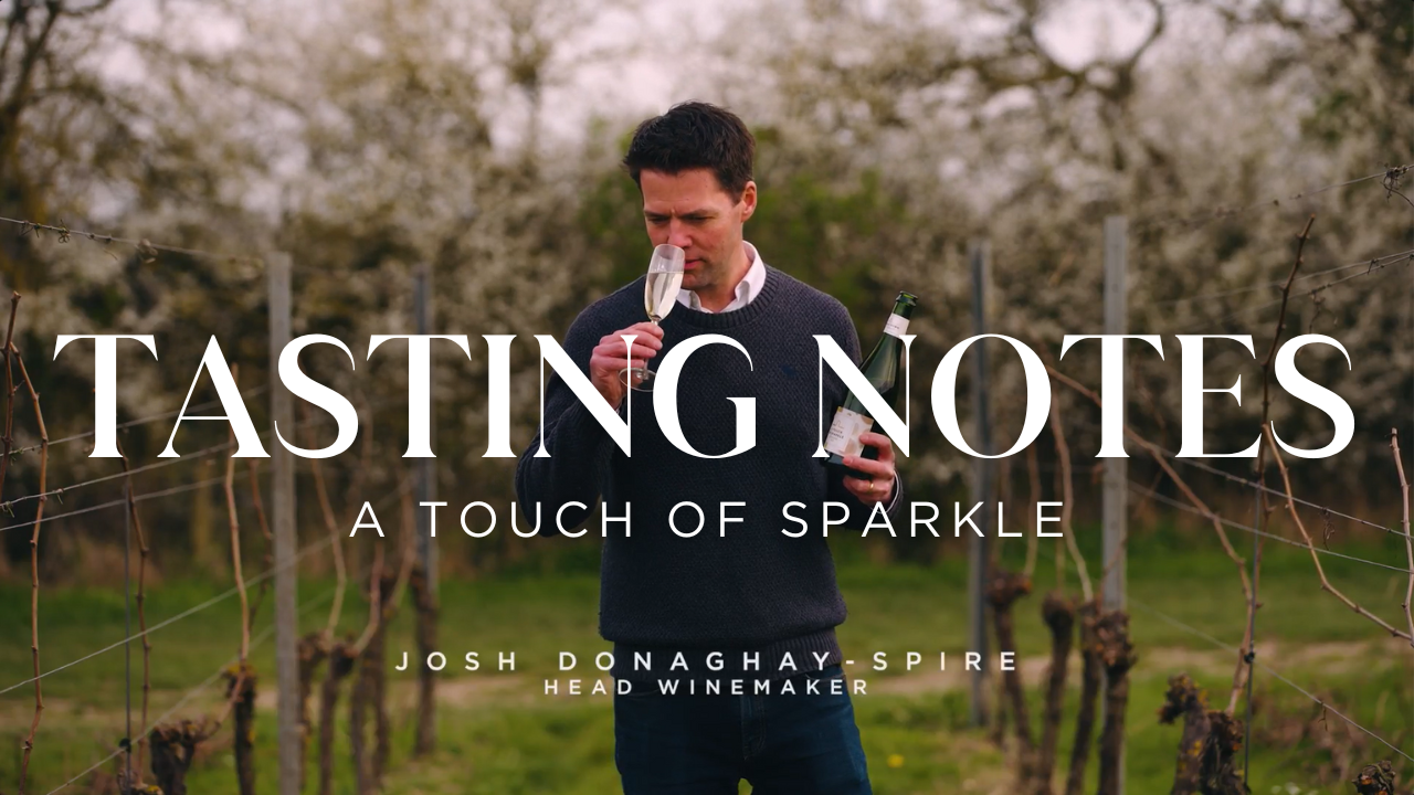 TASTING NOTES: A TOUCH OF SPARKLE