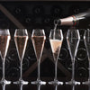 Exploring Chapel Down's Collection: Find Your New Favourite