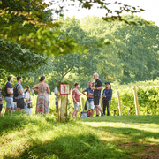 FAQs: Visiting Chapel Down – Everything You Need to Know