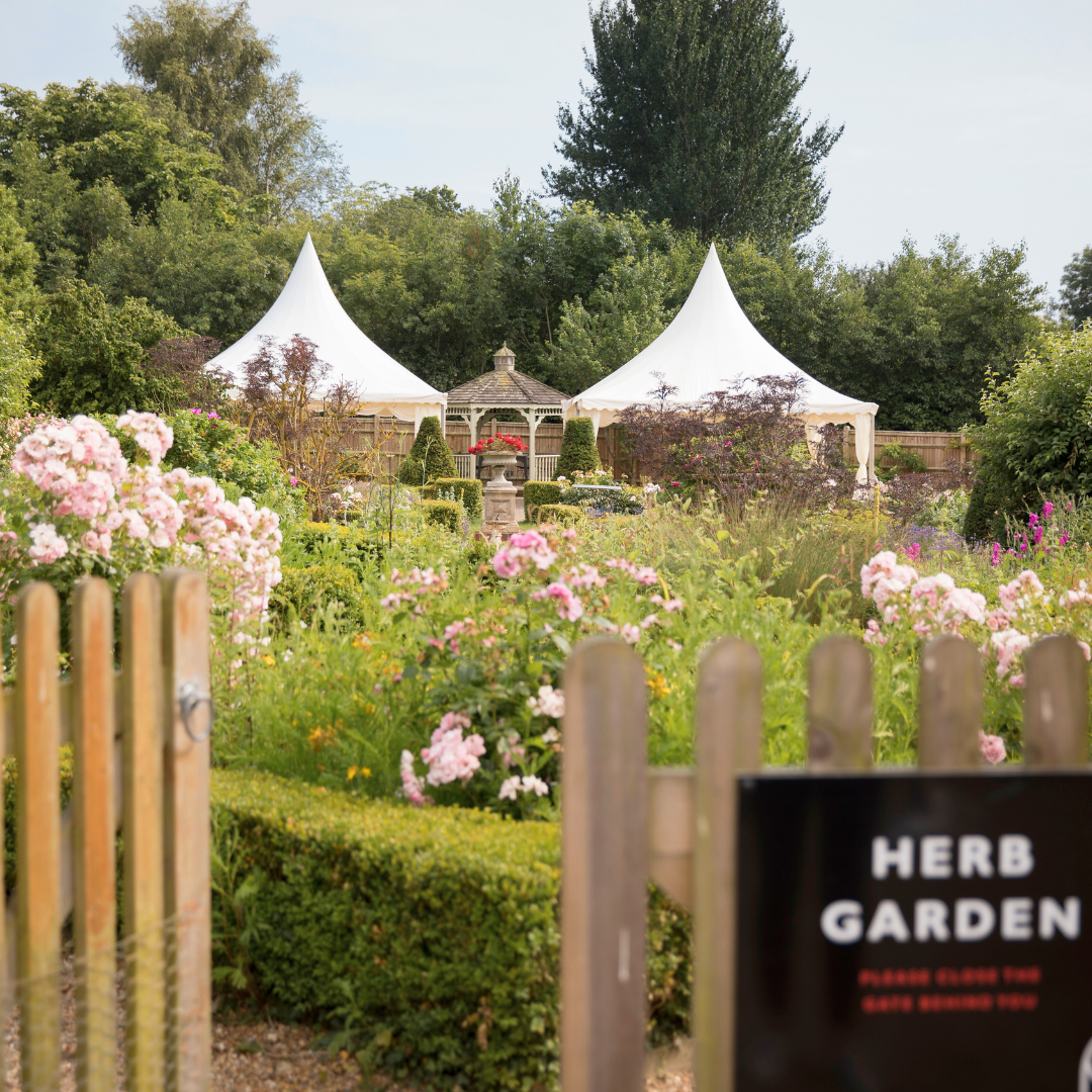 The Perfect Mother’s Day Gift: A Chapel Down Wine Tour & Tasting Experience