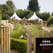 Why a Wine Tour Makes the Perfect Mother's Day Gift