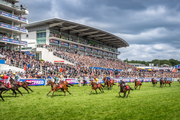 Chapel Down Announces Status as Official English Sparkling Wine of The Jockey Club