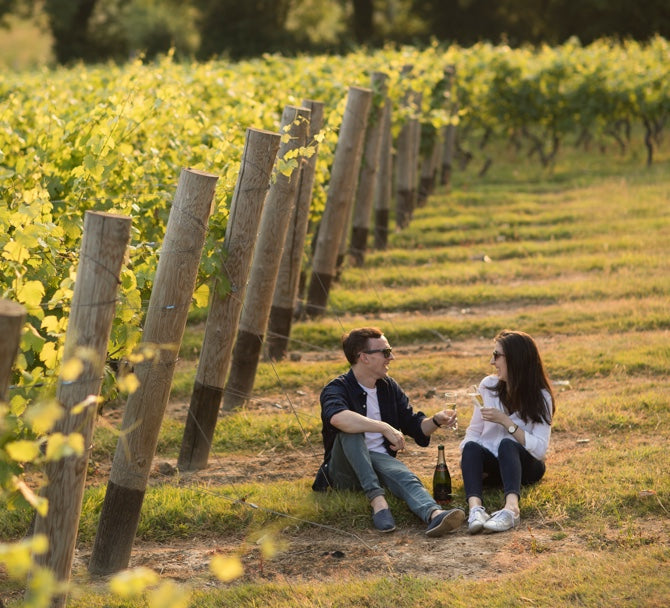 Couple in enjoying Chapel Down Wine in the vines