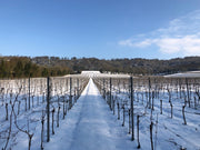 Winter Luxury Dining Experience