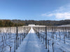 Winter Luxury Dining Experience