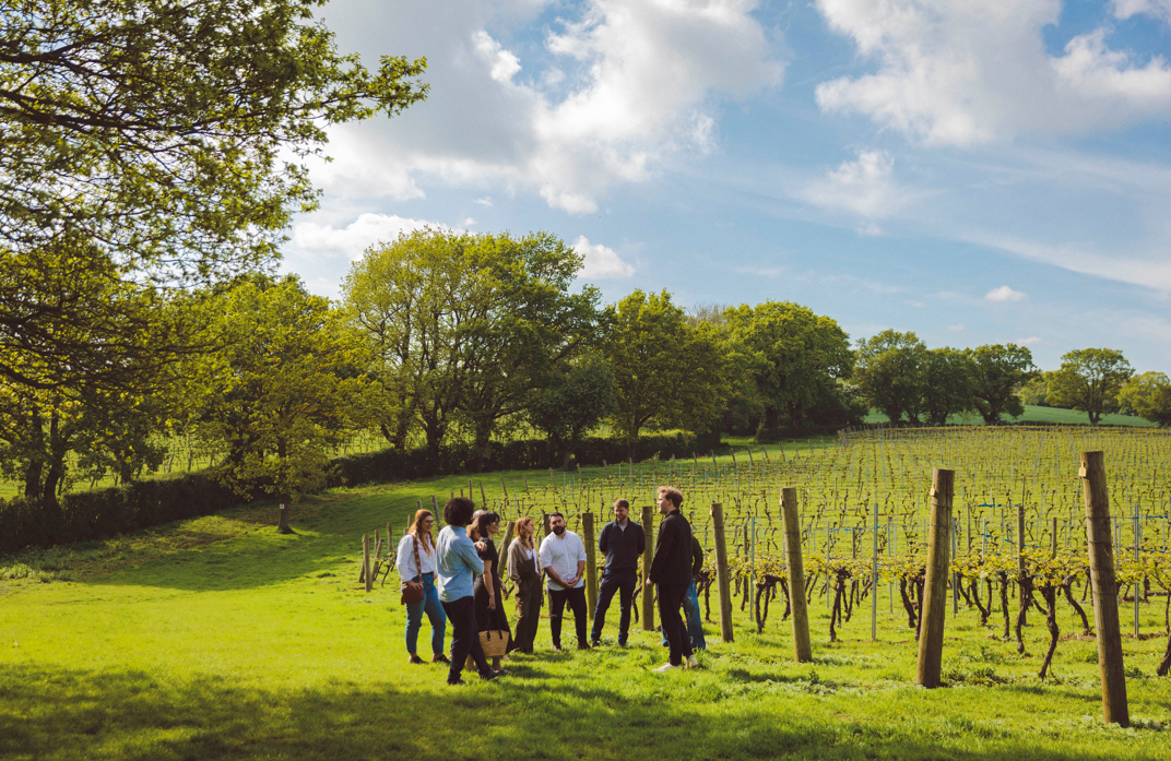 Guided Tour and Tasting