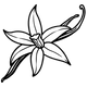 Vanilla