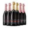 English Sparkling Intro Case