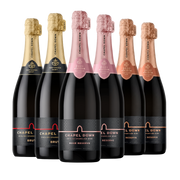 Sparkling Celebration Case