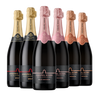 Sparkling Celebration Case