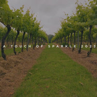 A Touch of Sparkle Rosé 2023