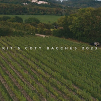 Kit's Coty Bacchus 2023 Trio