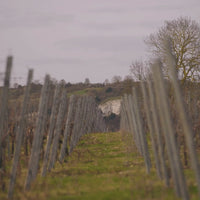 Kit's Coty Blanc de Blancs 2019 Trio