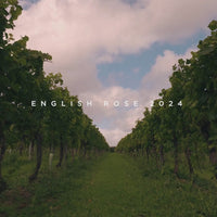 English Rose 2024