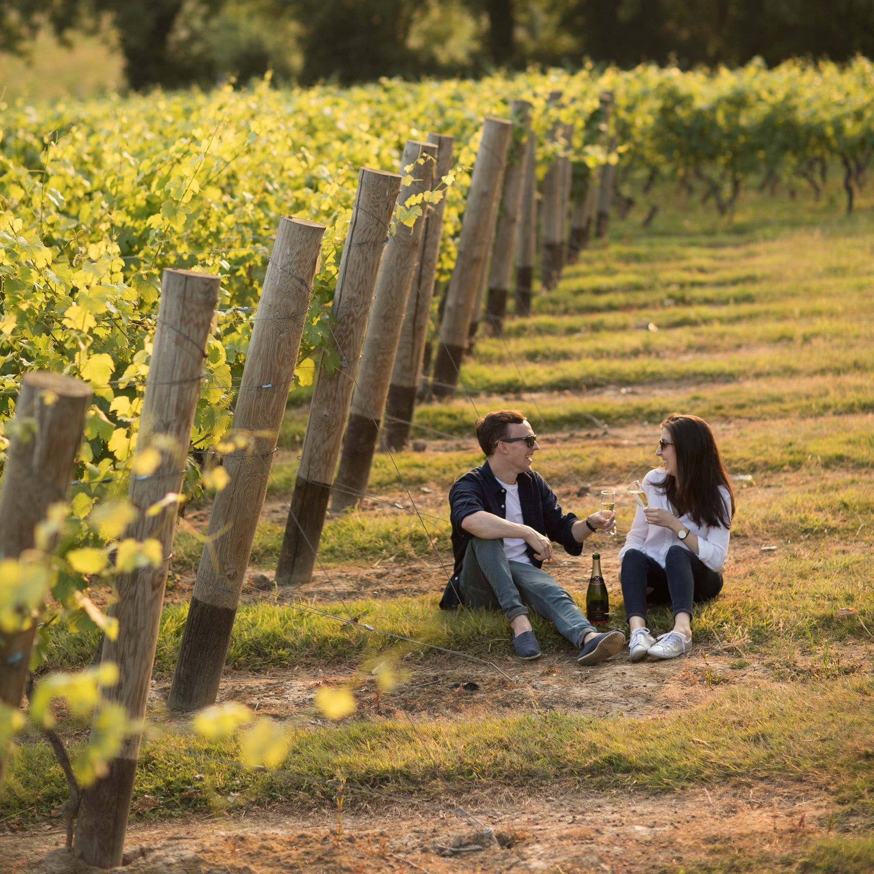 Guided Tour and Tasting